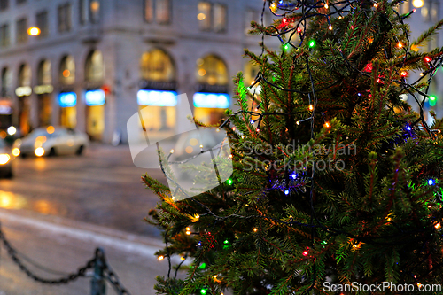 Image of Small Illuminated Christmas Tree in City