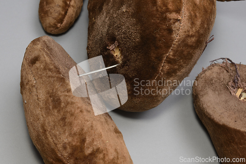 Image of broken toy teddy beer with severed paws 