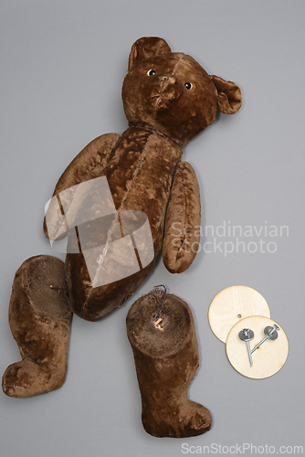 Image of broken toy teddy beer with severed paws 