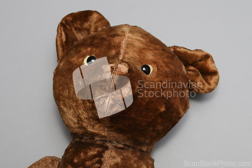 Image of head of an old toy bear
