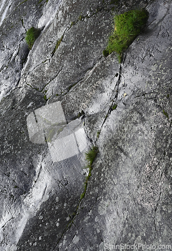 Image of granite rock surface with tufts of green grass 
