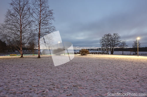 Image of winter park on the lake at night 