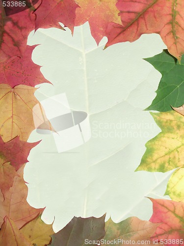Image of autumn frame