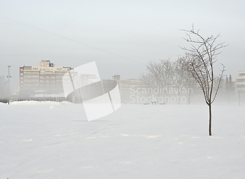 Image of Snow-covered park with buildings in fog