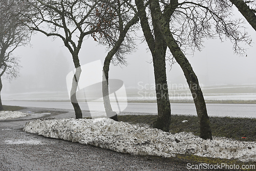 Image of melting snow on the lawn and a road in the fog in a small town i