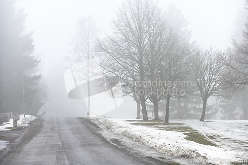 Image of road and park in fog in early spring 