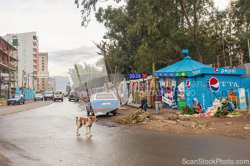 Image of Everyday scene showing a dog walking across a wet street. Addis Ababa, Ethiopia