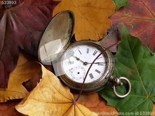 Image of autumn time