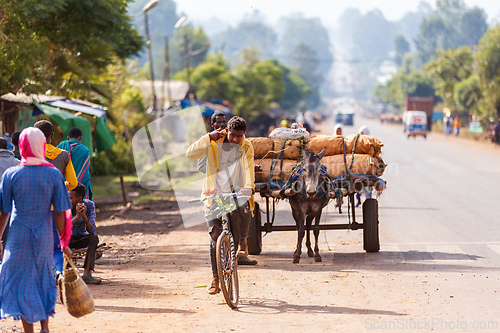 Image of Young man on a bicycle passes a donkey cart carrying goods along the main road in Demebecha, Ethiopia