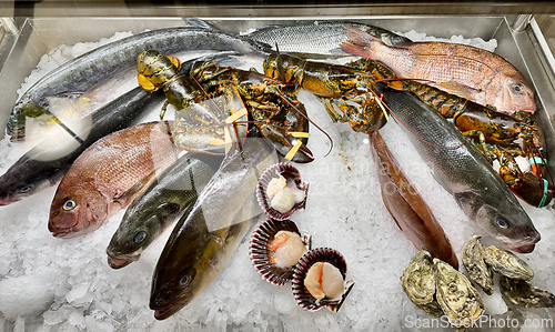 Image of fresh fish on ice