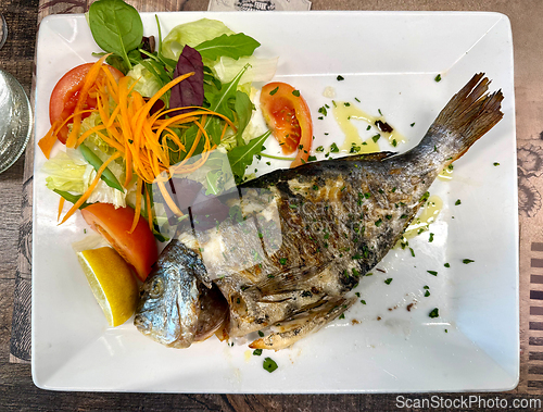 Image of grilled sea bream fish on white plate