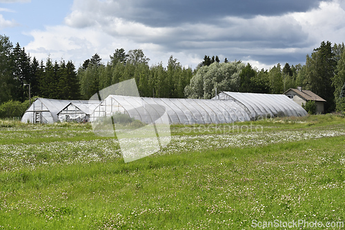 Image of rows of greenhouses 
