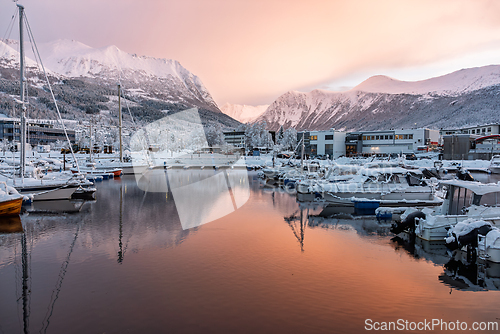 Image of Snowy marina at sunrise with mountains reflecting in still water