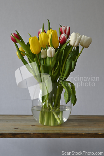 Image of yellow, white and pink tulips in a glass vase on a wooden shelf 