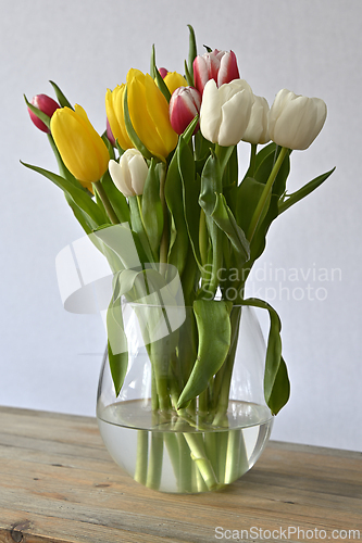 Image of yellow, white and pink tulips in a glass vase on a wooden shelf 