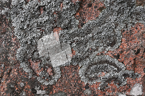 Image of lichen pattern on granite rock 