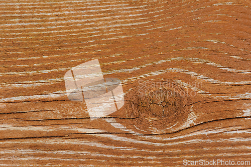 Image of Wooden surface showing grain patterns and knots under natural li
