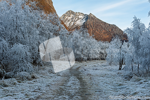 Image of Frost-covered path winds through a serene winter landscape near 