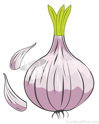 Image of Onion vegetable garlic on white background is insulated