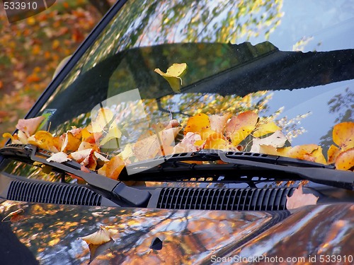 Image of fall on the car