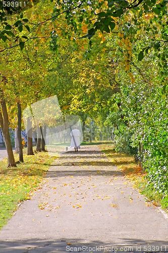 Image of autumn alley