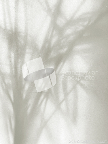Image of Light grey abstract background, trendy color of year 2026, cloud