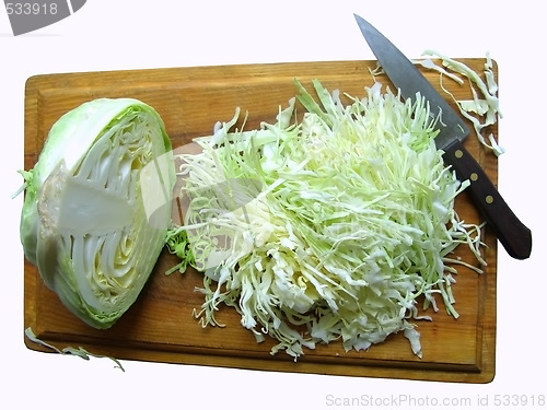 Image of cabbage on the breadboard