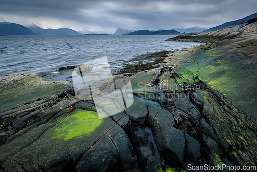 Image of Vibrant coastal rocks meet tranquil waters under a moody sky in 