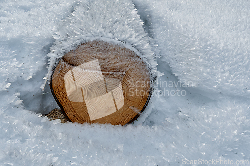 Image of Frosty wood log resting silently in a snowy landscape during a c