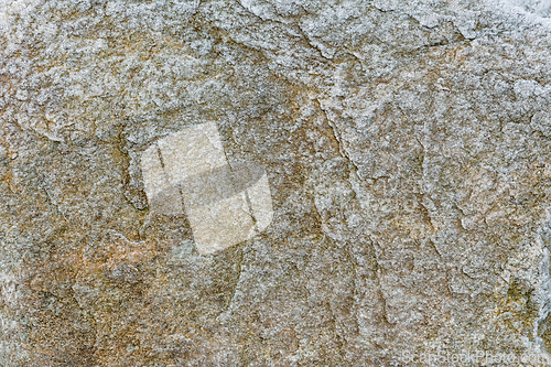 Image of Frost-covered stone reveals nature's quiet beauty in the early m