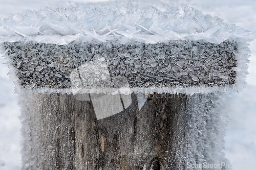 Image of Frosted wood surfaces reveal nature's icy artistry in a winter w