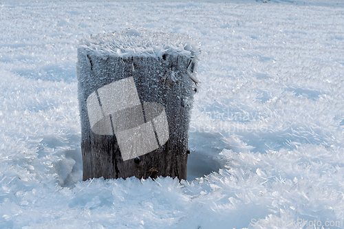 Image of Frost-covered wooden post stands in a serene winter landscape bl