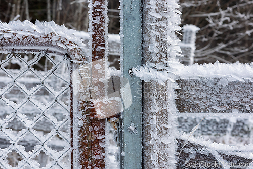 Image of Frost coats an old gate in a serene winter landscape at dawn, cr