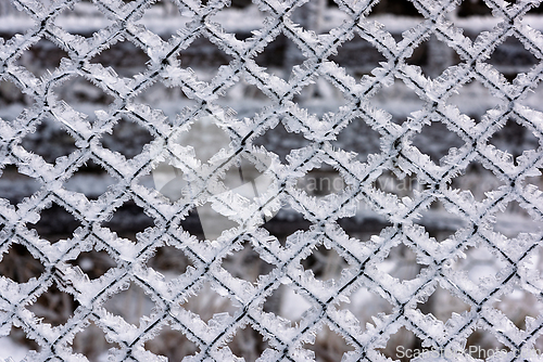 Image of Frosted lattice fence glistens under winter's embrace showcasing