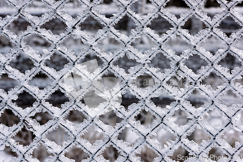 Image of Frosted lattice fence glistens under winter's embrace showcasing
