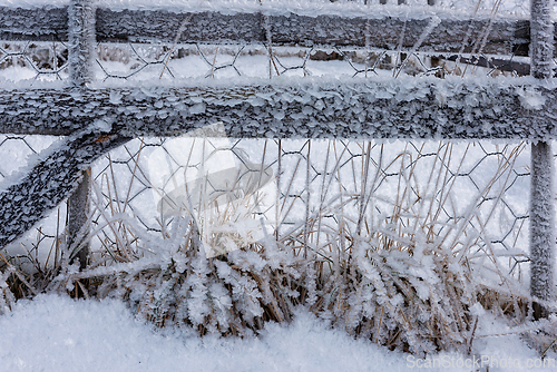 Image of Frosty winter landscape showcasing a rustic fence encrusted with