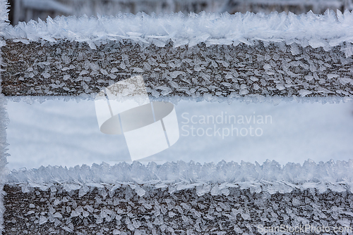Image of Frosted wooden fence stands tall in winter landscape showcasing 