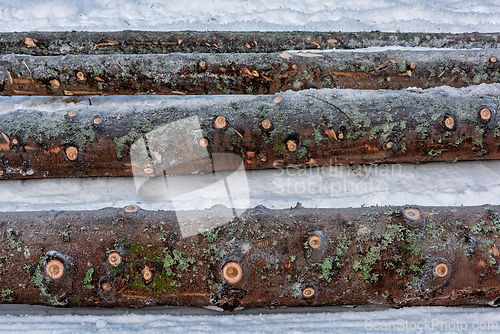 Image of Winter scene with logs resting on fresh snow revealing nature's 