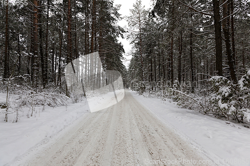 Image of tracks from the tread of a car