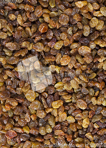 Image of light-colored dried raisins