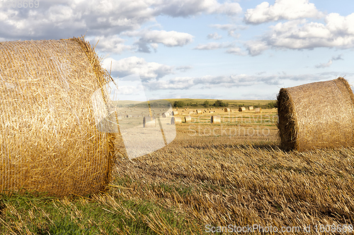 Image of haystacks with straw