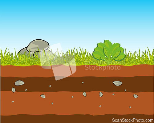 Image of Fertile ground in cut and herb with plants
