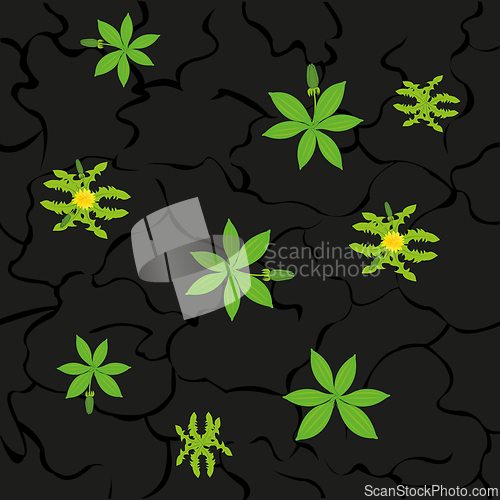 Image of Blackenning fertile ground and plants type overhand