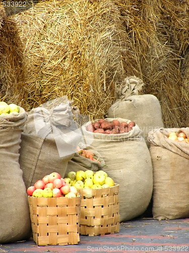 Image of harvest