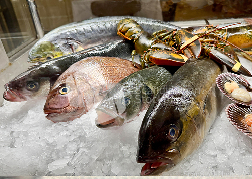 Image of fresh fish on ice in restaurant display