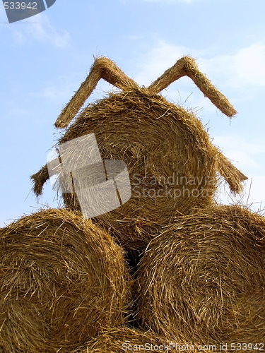 Image of sheaf of hay
