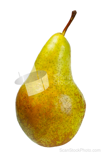Image of Single Pear on White Background