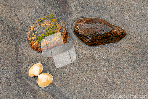 Image of Seashells and smooth stones resting quietly on a sandy beach at 