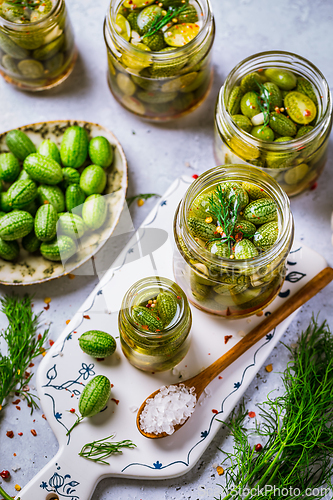 Image of Homemade food: Pickled cucamelons (pickled cucumbers, pickled gherkins), grown in a organic garden