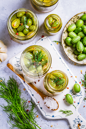 Image of Homemade food: Pickled cucamelons (pickled cucumbers, pickled gherkins), grown in a organic garden